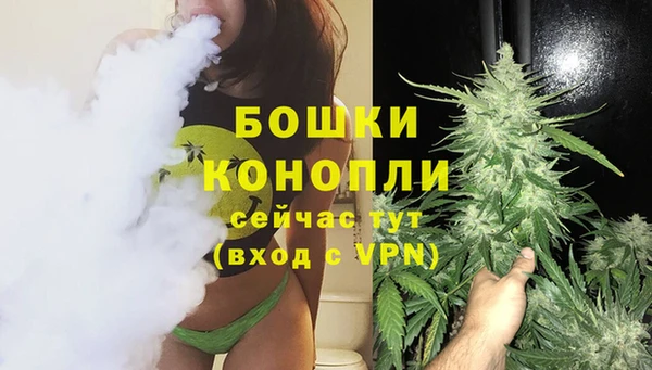 СК Бородино